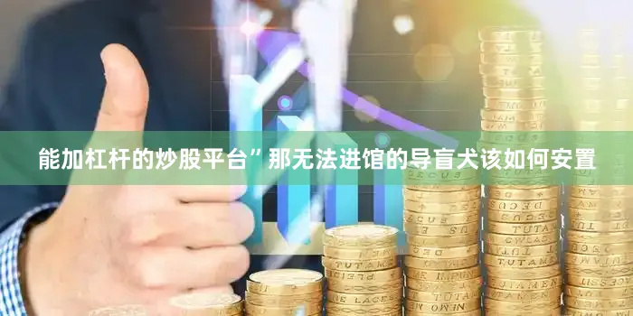 能加杠杆的炒股平台”　　那无法进馆的导盲犬该如何安置