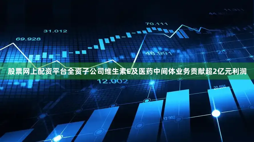 股票网上配资平台全资子公司维生素E及医药中间体业务贡献超2亿元利润