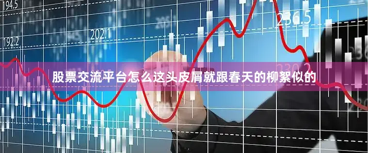 股票交流平台怎么这头皮屑就跟春天的柳絮似的