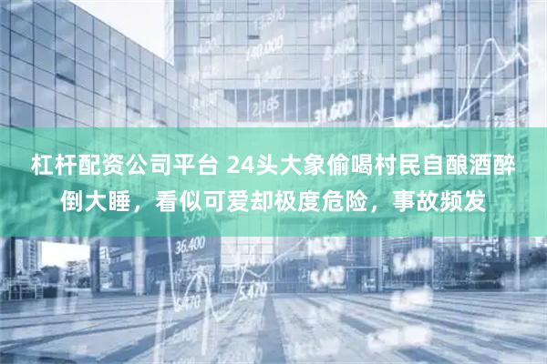 杠杆配资公司平台 24头大象偷喝村民自酿酒醉倒大睡，看似可爱却极度危险，事故频发