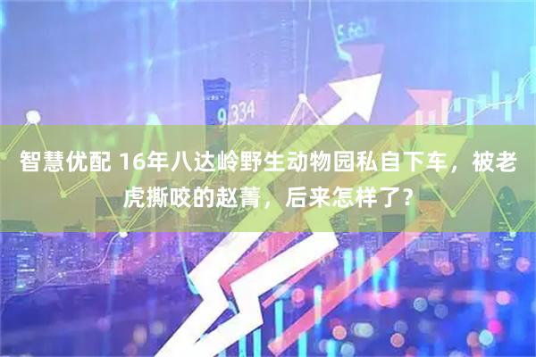 智慧优配 16年八达岭野生动物园私自下车，被老虎撕咬的赵菁，后来怎样了？